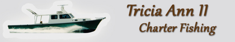 Tricia Ann Charter Fishing with Captain Wayne Schuhart on Chesapeake Bay